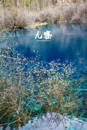 藏了31年!原来她就是“戏骨”何政军妻子,难怪当年拒绝巩俐示爱